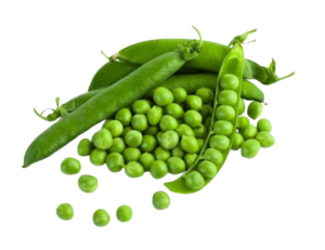 Fresh Green Peas