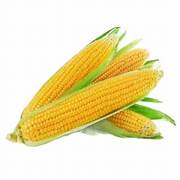 Sweet Corn - Organically Grown (Loose)