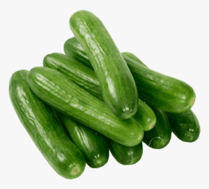 Fresh Cucumber - English